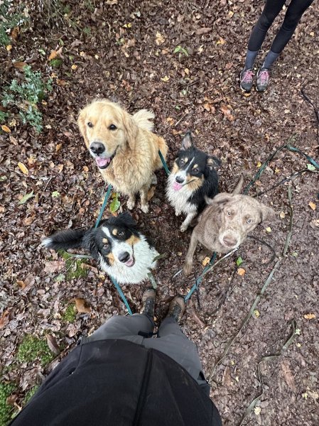 Axel Le Moing, éducateur canin - photo 3