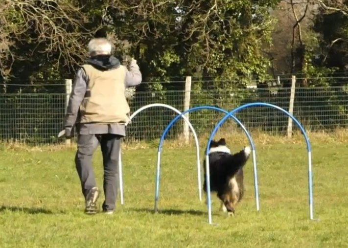 Club canin de Ploemeur Breizh Cool Dogz - photo 2