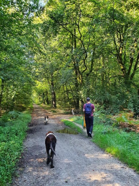 Avec mon chien - photo 2