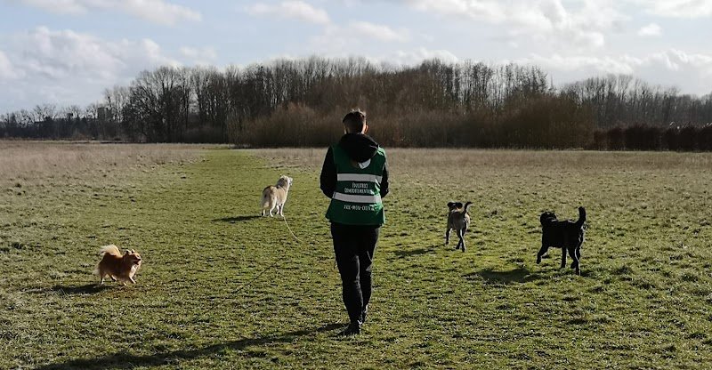 Avec mon chien - photo 3