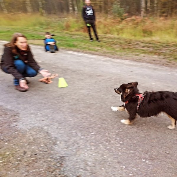JeanneEduc35 - Educatrice et Comportementaliste Canin Rennes - photo 2