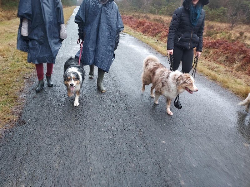 JeanneEduc35 - Educatrice et Comportementaliste Canin Rennes - photo 3