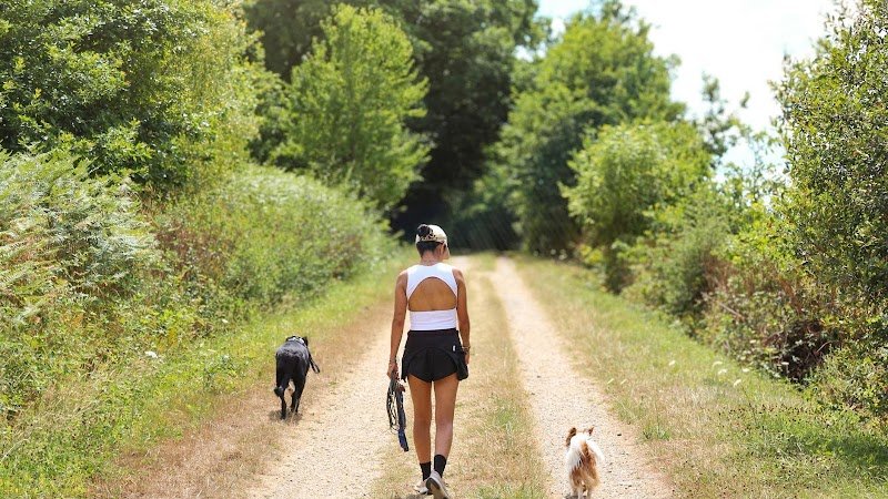 Pet's Heaven - Éducateur comportementaliste canin Rennes