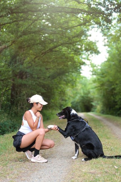 Pet's Heaven - Éducateur comportementaliste canin Rennes - photo 2