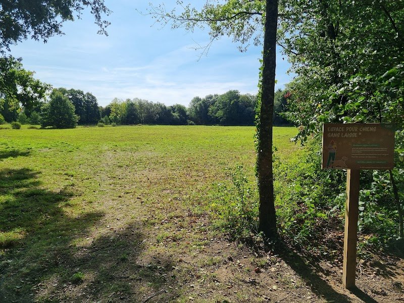 Parc à chien (espace canin)