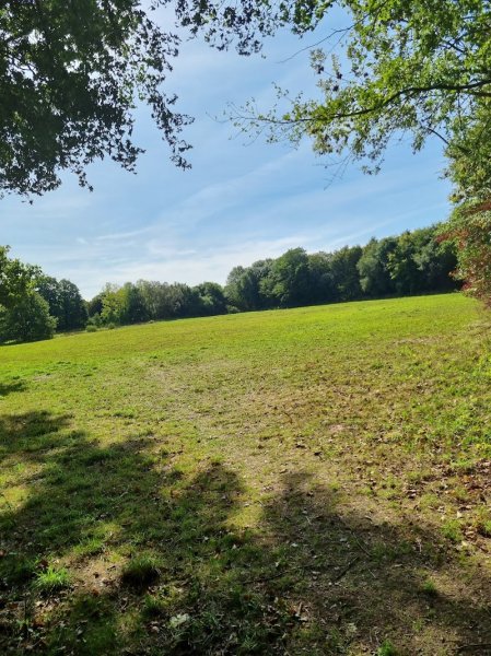 Parc à chien (espace canin) - photo 3