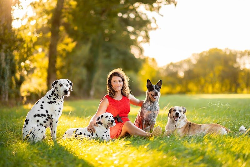 Camille Peloin - Comportement, Éducation Canine & Socialisation Pacé - Rennes Ouest et Hédé - Rennes Nord
