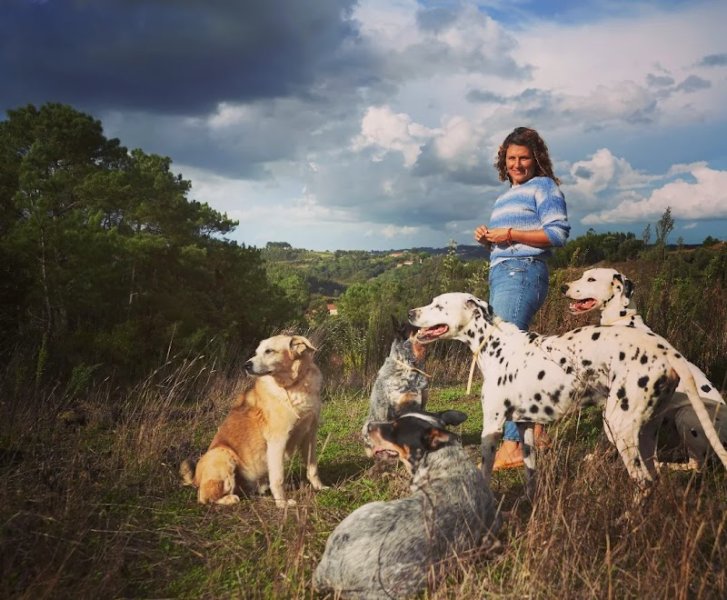Camille Peloin - Comportement, Éducation Canine & Socialisation Pacé - Rennes Ouest et Hédé - Rennes Nord - photo 3