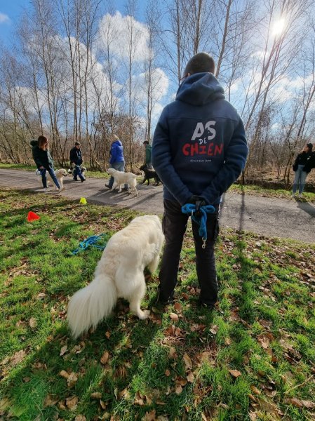 As de chien - photo 3