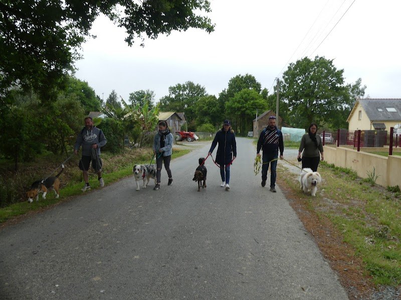 Ecole canine de Plessé