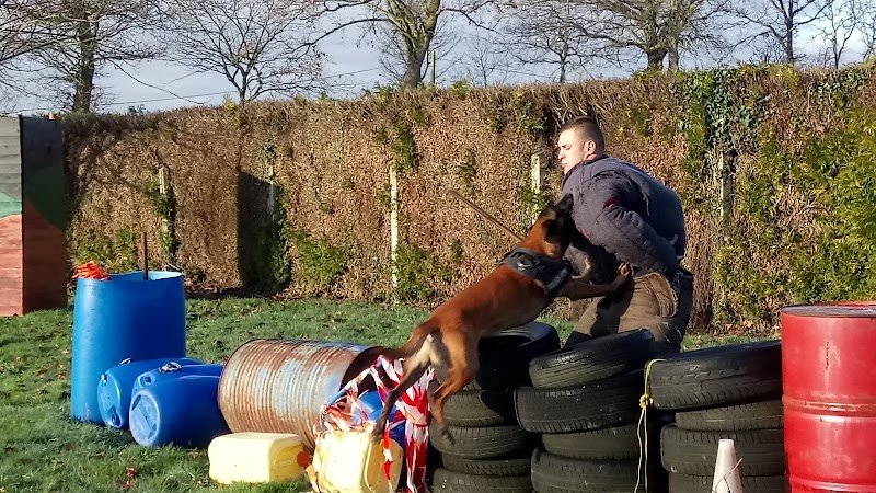 Pro Dog Services - photo 2