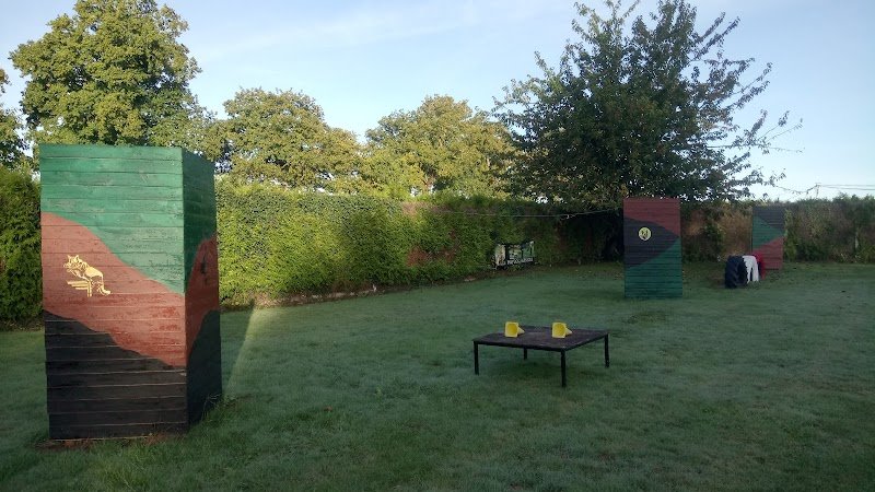 Pro Dog Services - photo 3