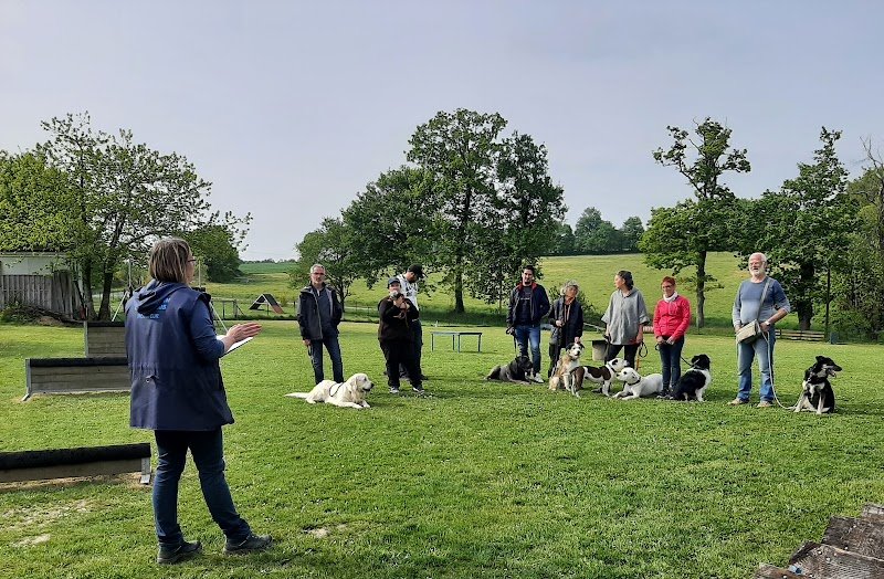 Sport canin guichenais - photo 1