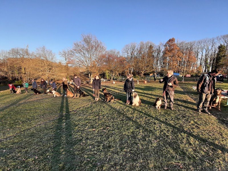 Sport canin guichenais - photo 2