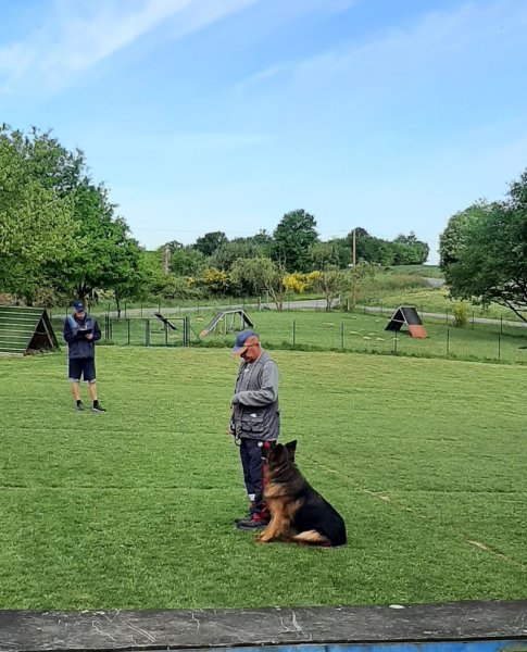 Sport canin guichenais - photo 3