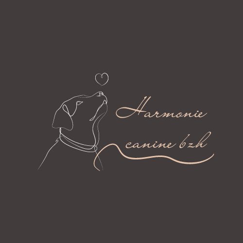 harmonie canine bzh - photo 3