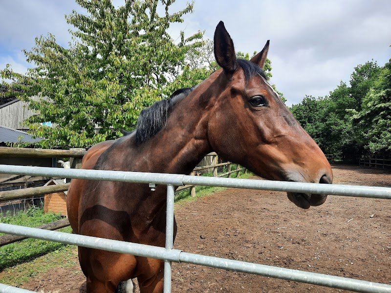 Very Club Canin de Bourgbarré