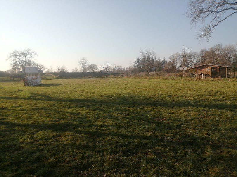 Club canin saint Erblon - photo 1