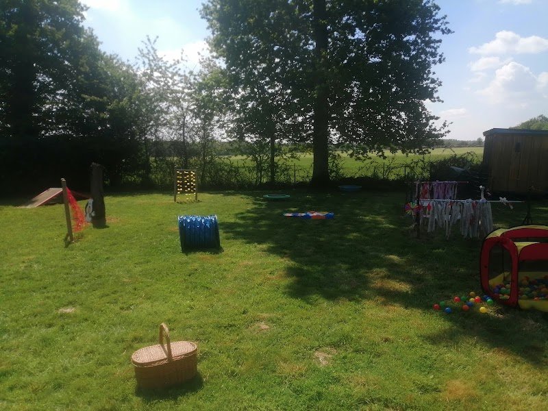 Club canin saint Erblon - photo 2