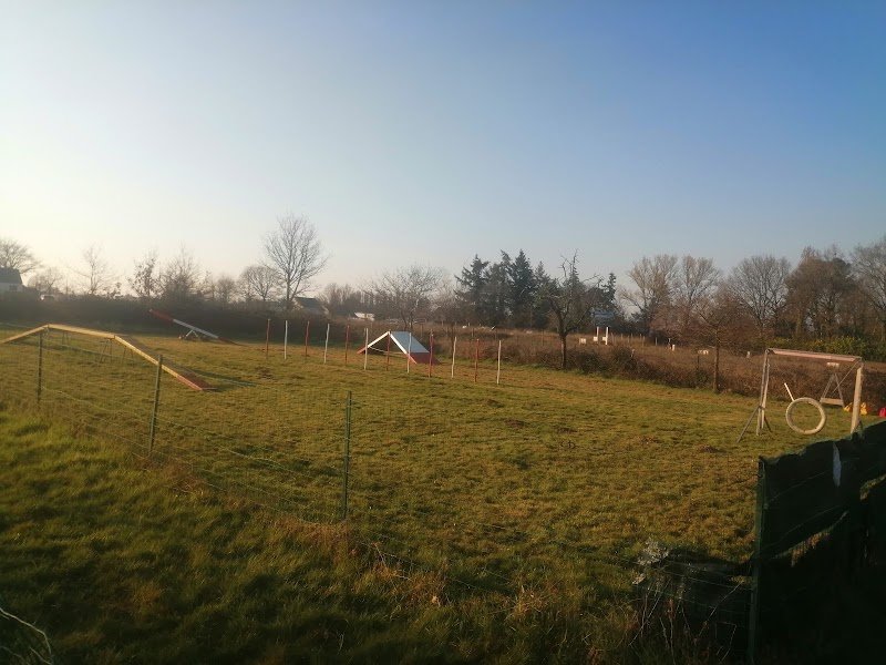 Club canin saint Erblon - photo 3