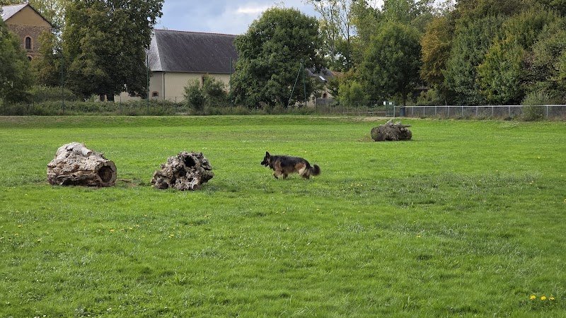 Parc pour chien - photo 1