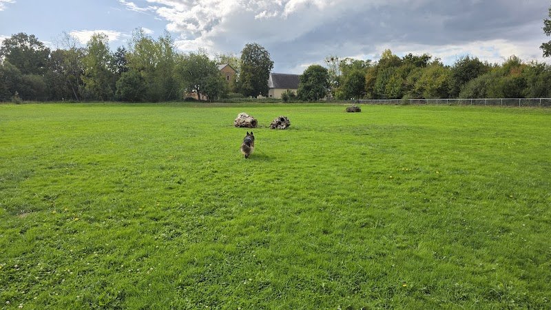 Parc pour chien - photo 3