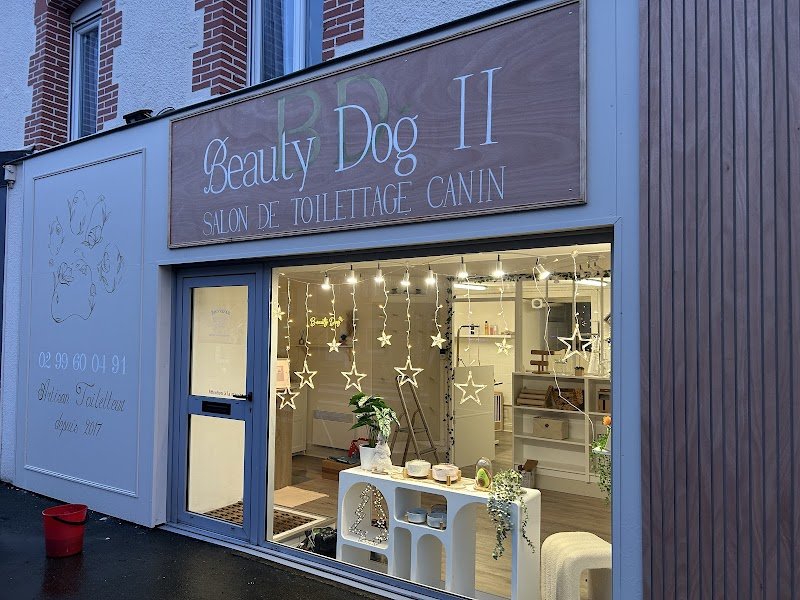 Beauty Dog II - photo 2