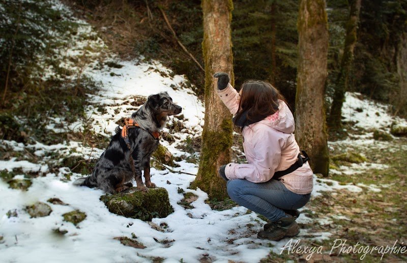 En Vie Canine Comportementaliste canin Rennes Est - photo 3