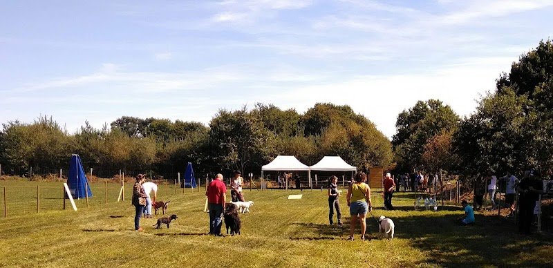 La bouexiere club canin - photo 1