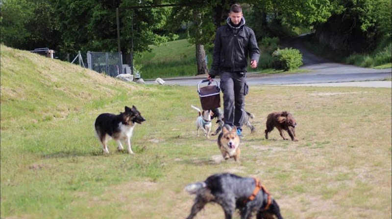 Florian Corbel Educateur canin