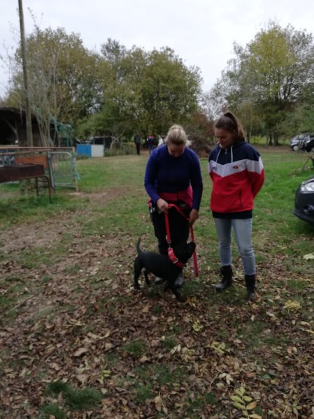 Amour 2 Compagnons_Comportementaliste Canin_Educateur Canin - photo 1