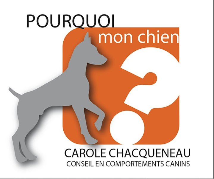 POURQUOI mon chien ? Comportementaliste, Praticien Somato Emotionnel Animalier
