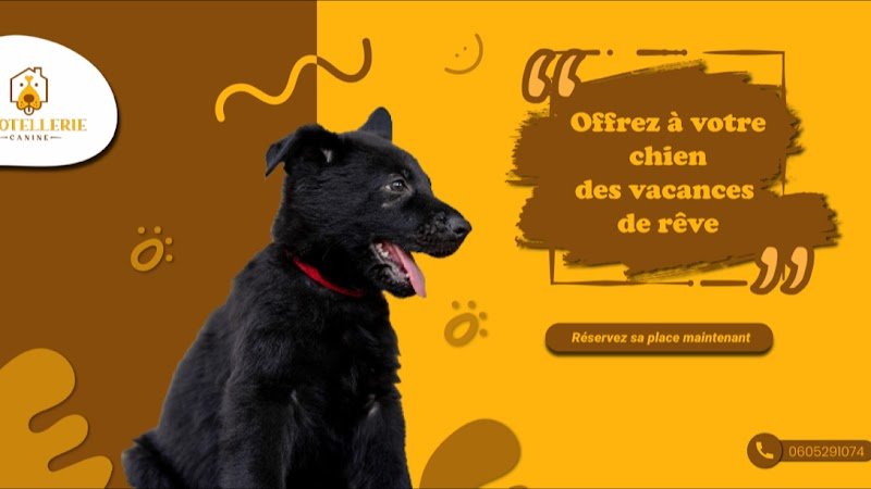 L'hôtellerie canine - photo 1