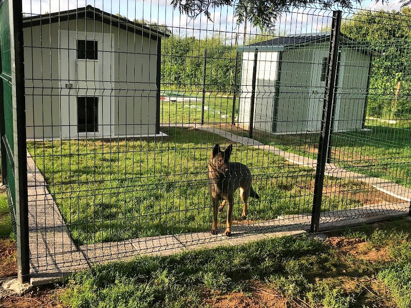 L'hôtellerie canine - photo 2