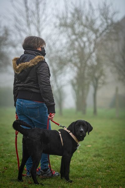 Le Code Canin - photo 2