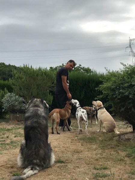 Pascal - Educateur Comportementaliste Canin