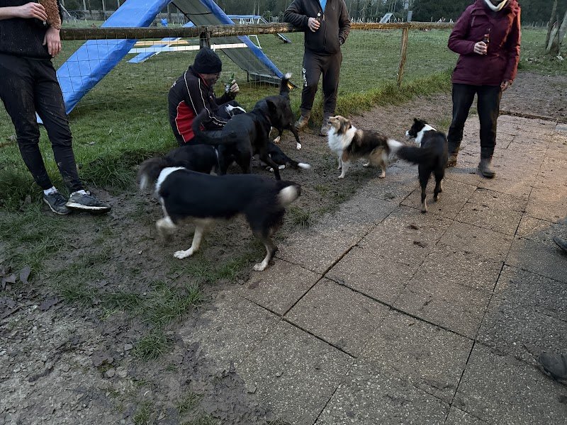 Club Canin Corps-Nuds - photo 2