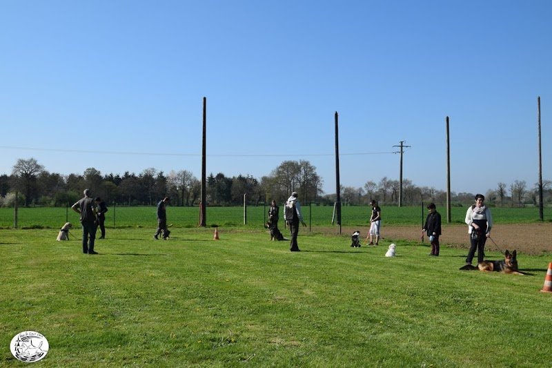 Vieux-Vy Sport Canin, club canin et d'éducation canine de Vieux Vy sur Couesnon - photo 1