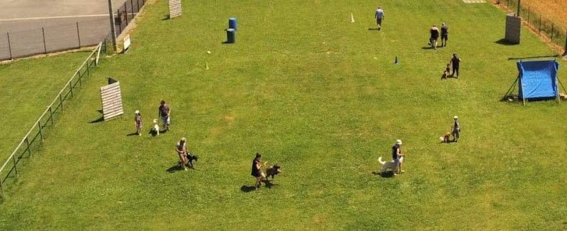 Vieux-Vy Sport Canin, club canin et d'éducation canine de Vieux Vy sur Couesnon - photo 2