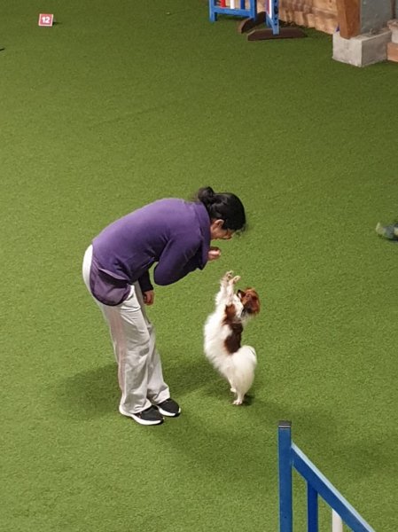 Club canin de l'Archange - photo 2