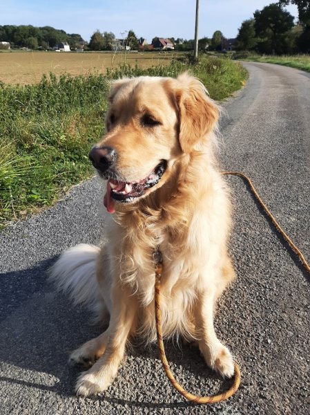 Educ Life (éducatrice et comportementaliste canin) - photo 3