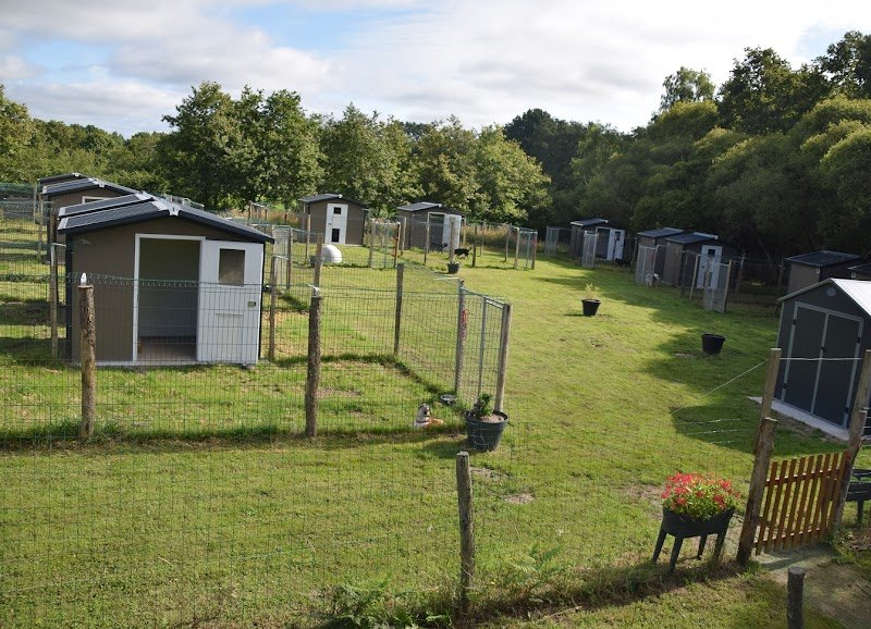 Éducation et Pension Canine du Brivet