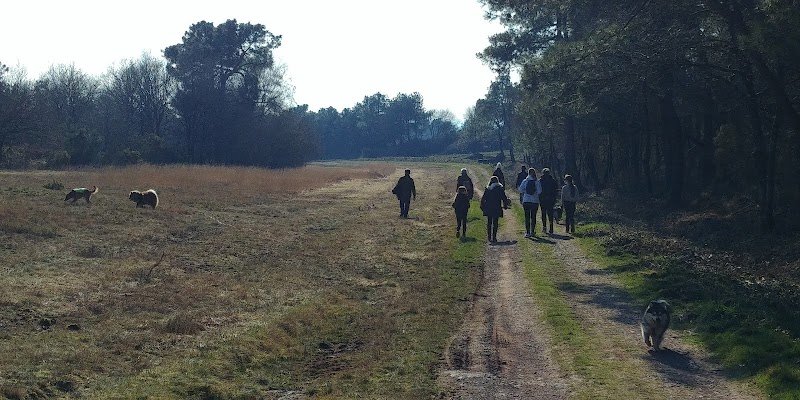 Happy Dogs Therapy - Educateur, comportementaliste et masseur canin (SECTEUR MONTENEUF ET ENVIRONS) - photo 2