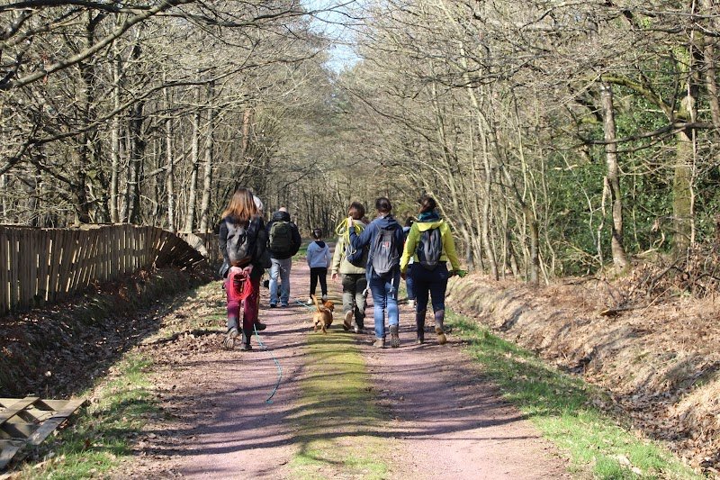 Happy Dogs Therapy - Educateur, comportementaliste et masseur canin (SECTEUR MONTENEUF ET ENVIRONS) - photo 3