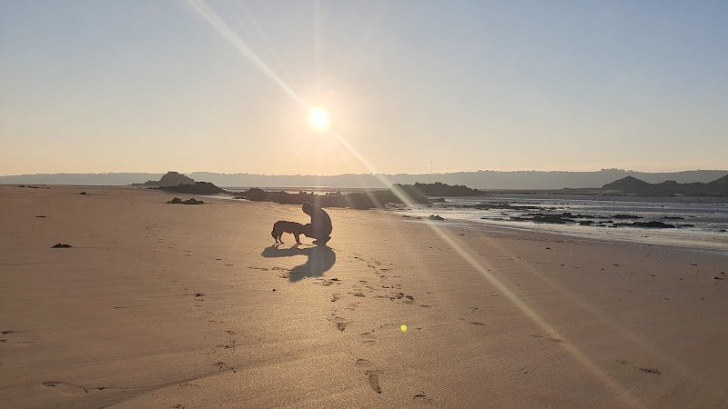Les Echappées Canines - photo 1