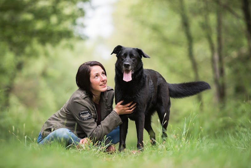 Aura - Accompagnement du Chien de Famille