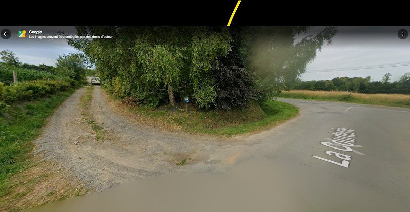 Gina Éducation canine & Médiation animale - photo 2