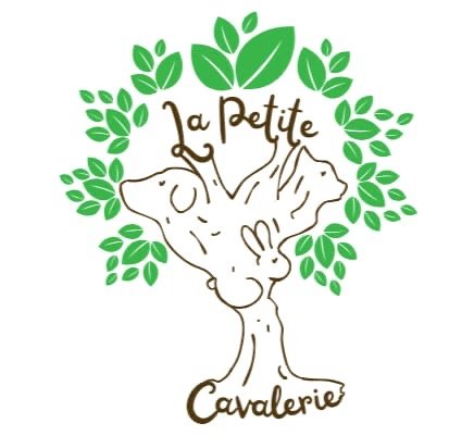 Lapetitecavalerie comportementaliste animalier/éducateur canin/éleveuse de cavaliers - photo 2