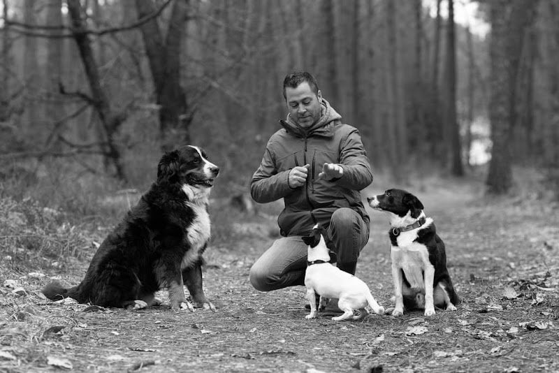Éducateur comportementaliste canin Jonathan Poirier