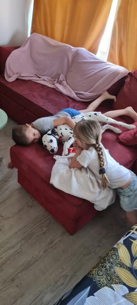 La Petite Vallée des Chiens.